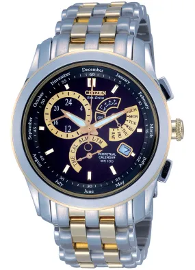 Citizen Eco-Drive Perpetual Calendar Sapphire Men's Watch BL8005-77E