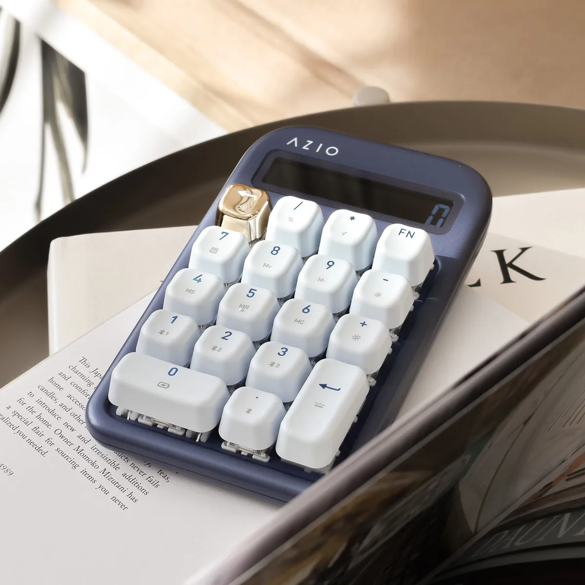 IZO Numpad / Calculator (Blue Switch)