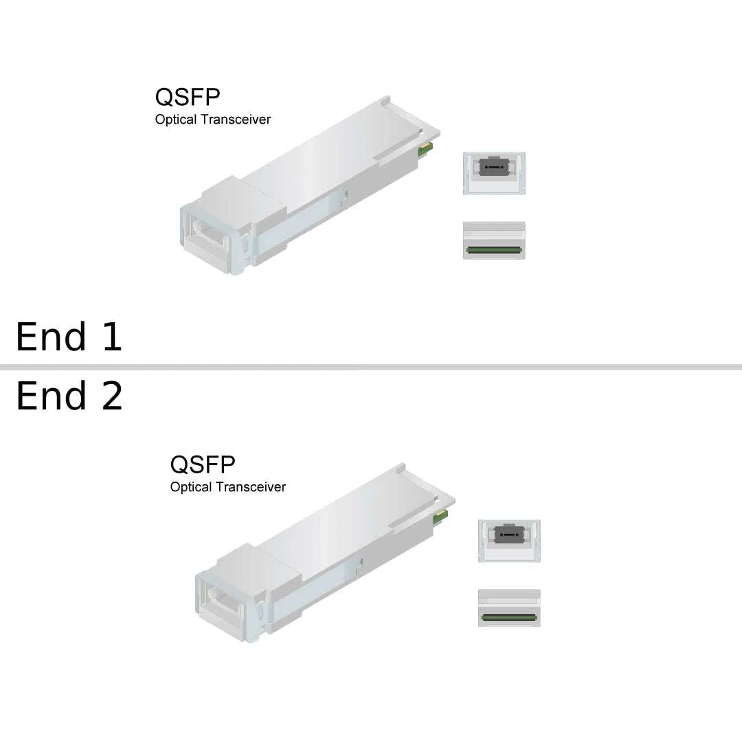 NetApp X66200-5 - 5m Data Cable with Plug MPO/MPO | Opt, OM4, MPO/MPO, Type B,