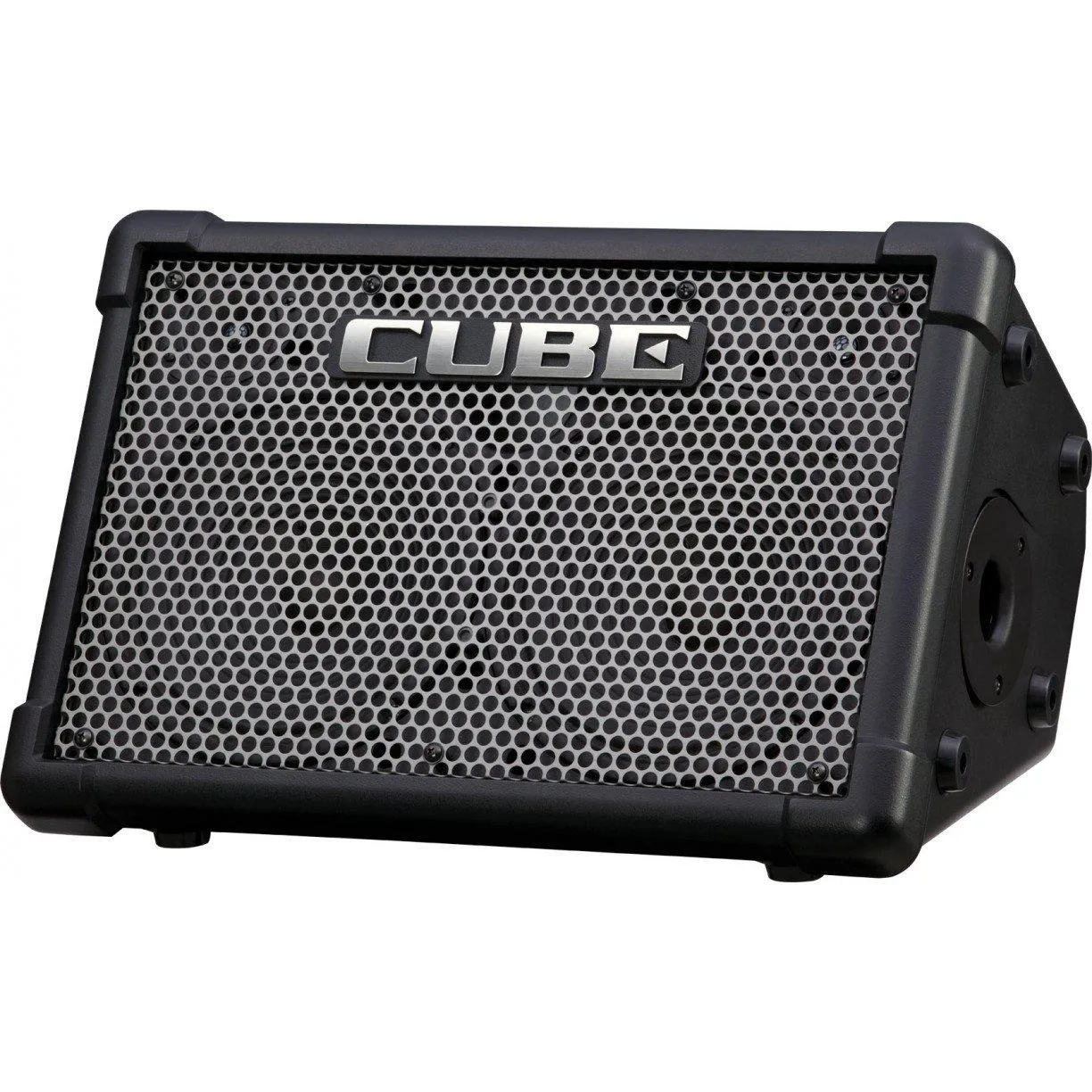 Roland Cube Street EX Battery Powered Stereo Amplifier