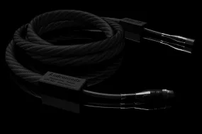 Signal Projects Andromeda Digital AES/EBU XLR 110Ω Cable