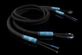 Signal Projects Hydra Speaker Cable