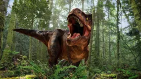 T-Rex Encounter - Virtual Background